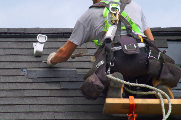 Best Storm Damage Roof Repair  in Worth, IL