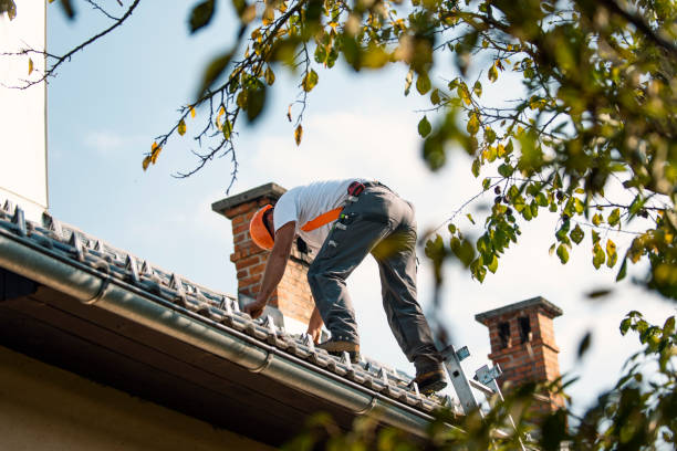 Residential Roof Replacement in Worth, IL