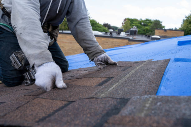 Roof Repair Estimates in Worth, IL