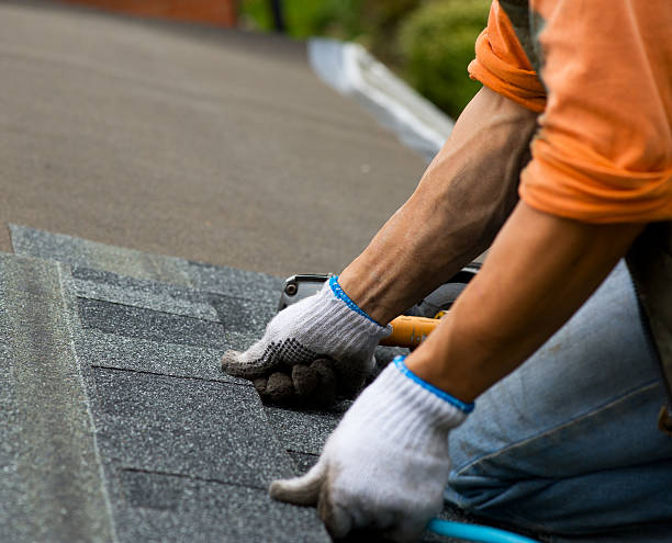Roof Gutter Cleaning in Worth, IL