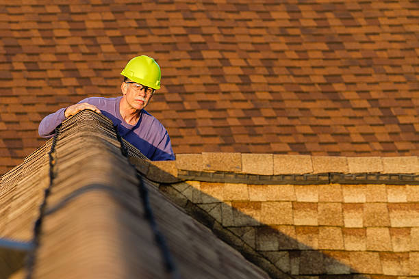 Best Roof Maintenance Services  in Worth, IL